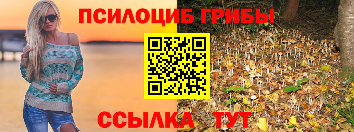 Псилоцибиновые грибы прущие грибы Соликамск