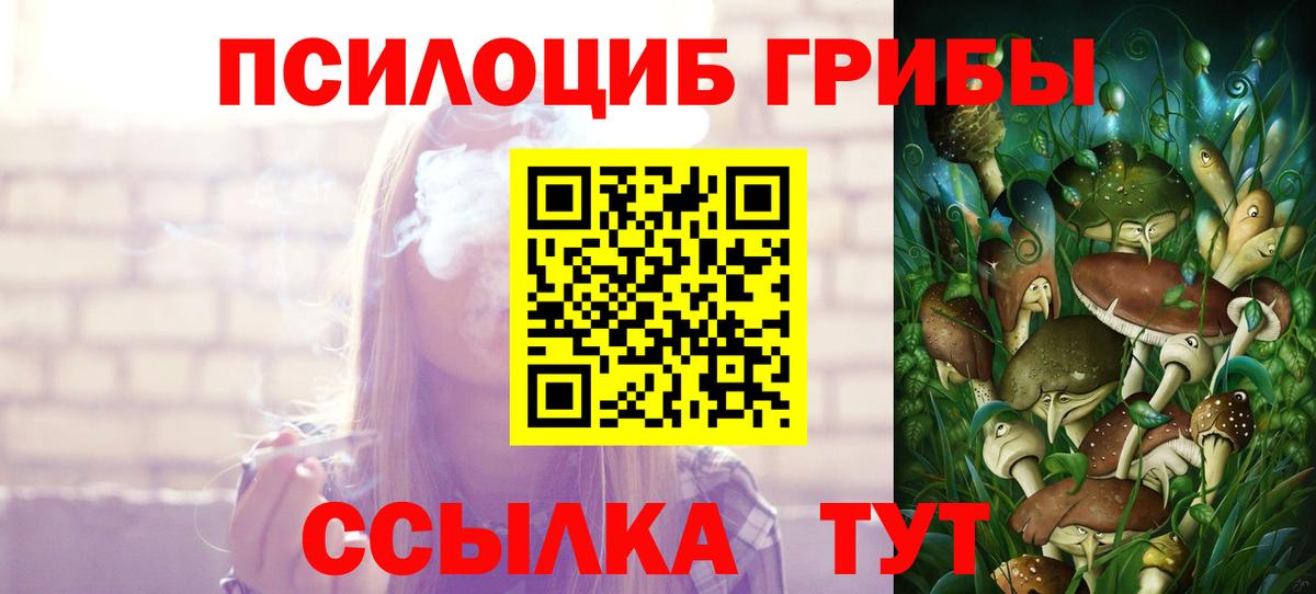 Псилоцибиновые грибы прущие грибы  сколько стоит  Соликамск  Вход с VPN 